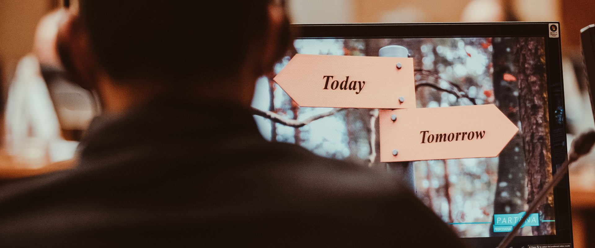 Wisenose - Partena_01